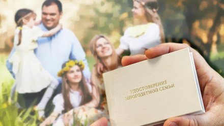 С 30 мая многодетные семьи в Коми могут обращаться за удостоверением многодетной семьи единого образца
