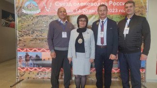 В Коми существуют значительные резервы повышения эффективности  оленеводства