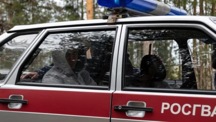 Сотрудниками вневедомственной охраны Росгвардии задержаны  нарушители общественного порядка