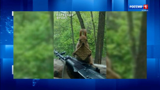 Бойцы СВО из Коми подкармливают белок