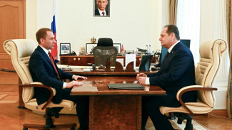 Ростислав Гольдштейн предложил внести в федеральное законодательство изменения, направленные на обеспечение противопожарной безопасности населённых пунктов