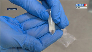 Как защититься от клещевого энцефалита и боррелиоза