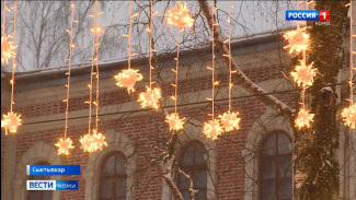 Столичный Кировский парк украсили новогодней гирляндой