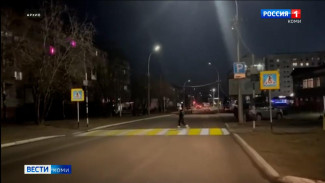 Ростислав Гольдштейн поручил оборудовать пешеходные переходы у школ Сыктывкара и Ухты световыми проекторами