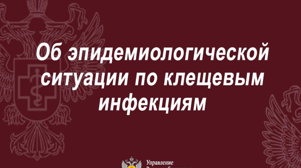 Управление Роспотребнадзора по Республике Коми информирует о повышении  активности клещей в регионе за прошедшую неделю – ГТРК «Коми Гор»