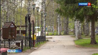 Какой была погода этим летом в Коми и каким будет начало сентября