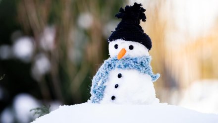 В Сыктывкаре пройдёт конкурс по лепке снеговиков
