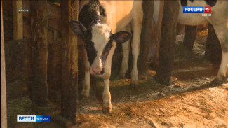 Минсельхоз Коми готов начать внедрение программы «Агромотиватор»