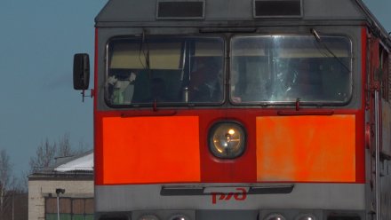 РЖД введут дополнительные поезда с юга России из-за остановки полетов  