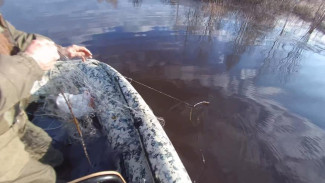 Минприроды Коми: Нарушения в заказнике «Белоборский» – под контролем! 