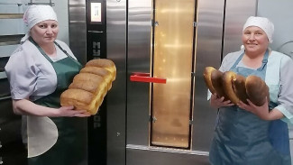 В Коми расширят поддержку малого агробизнеса 