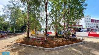 В Сыктывкаре продолжается благоустройство «Яблоневой аллеи»