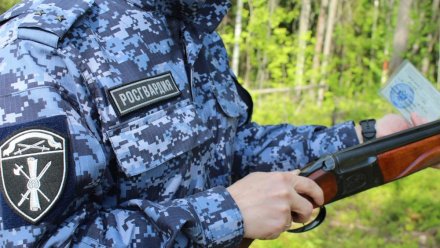 Житель Сыктывкара привлечен к административной ответственности за утерю оружия на реке