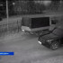 В Троицко-Печорском районе усилят патрулирование возможных мест выхода медведей к людям