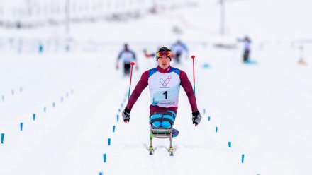 Победители зимних игр паралимпийцев "Мы вместе" получат по четыре миллиона рублей