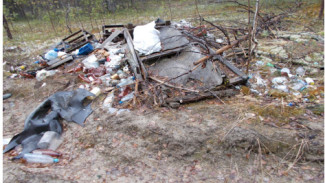 В Корткеросском районе прокуратура добилась ликвидации несанкционированных свалок в лесу