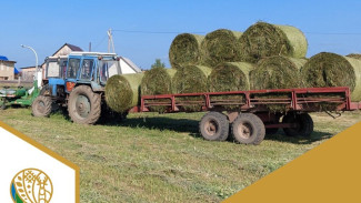 В Коми продолжается кормозаготовительная кампания