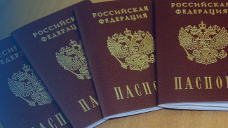 В Республике Коми полицейскими продолжается деятельность по прекращению гражданства Российской Федерации за совершение преступлений