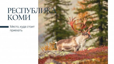 Почта России выпустила открытки с видами Республики Коми