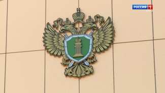 Прокуратура Ижемского района выявила факт мошенничества при заключении социального контракта