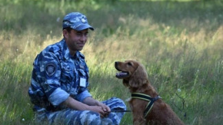 Полицейский из Коми вошел в тройку лучших по профессии среди специалистов-кинологов России в 2024 году