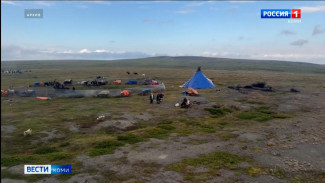 Дети оленеводов начали возвращаться после учёбы домой