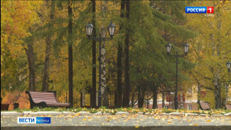 Какой будет погода в Коми на следующей неделе