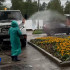 Зачем в Ухте поливают клумбы в дождь: разъясняет глава города Марина Метелева