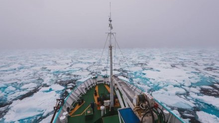 Ученые «Арктического плавучего университета» побывали на островах Земли Франца-Иосифа и Новой Земли