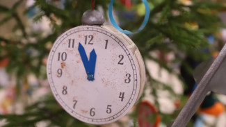 В Республике Коми появилась «Ёлка Великой Победы»