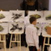 В Сыктывкаре открылась выставка миниатюр военно-гражданской техники