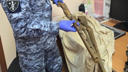 Житель Емвы обнаружил на рыбалке три ружья и передал их в Росгвардию