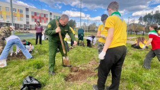 В поселке Краснозатонский высадили Аллею Памяти в честь героев Великой Отечественной войны