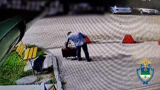 Полицейские Сыктывкара вернули 86-летнему пенсионеру похищенный у него баян