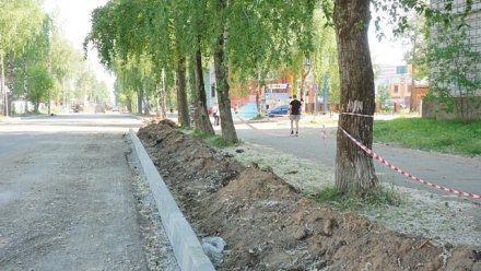 В Сыктывкаре по улице Куратова уберут поврежденные и опасные деревья