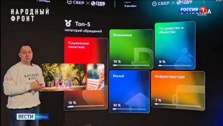 Какие вопросы отправляют жители Коми Президенту РФ на прямую линию