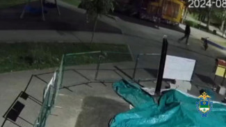 Сыктывкарскими полицейскими задержана подозреваемая в хищении велосипеда