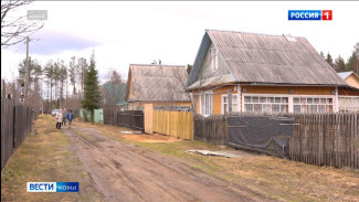 "Дачная амнистия" будет действовать в России до марта 2031 года
