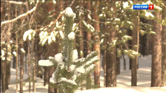 Какой будет погода в декабре