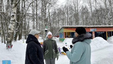 Руководителям школ и детсадов поручено обеспечить обработку пешеходных дорожек противогололёдной смесью