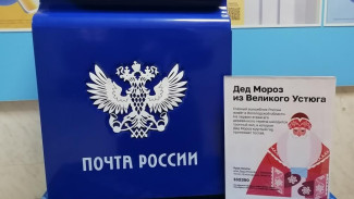 В России стартует доставка новогодней почты