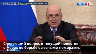 Почти три миллиарда рублей получат регионы на восполнение затрат на тушение лесных пожаров