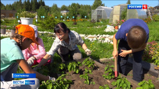 Сотрудники института агробиотехнологий просят о помощи у жителей столицы в сборе урожая
