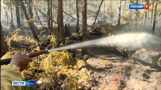 В республике зарегистрирован первый в этом сезоне лесной пожар