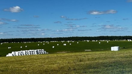 Аграрии Коми выполнили план по заготовке сена