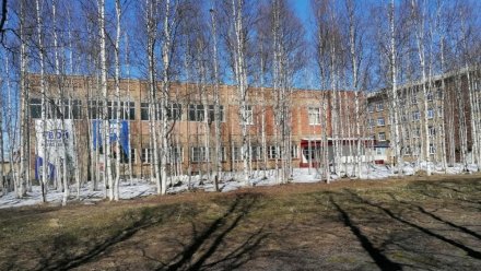 В Инте будут обучать профессии «Мастер оленеводства»