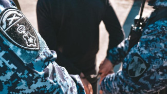 Жительница Печоры осуждена за нападение на сотрудника Росгвардии