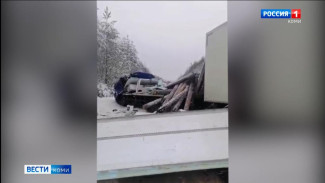 В Сыктывдинском районе столкнулись два грузовых Volvo