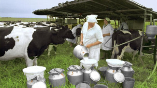 Ярмарки, конкурсы, семинары: общереспубликанские мероприятия по линии Минсельхоза Коми в 2025 году