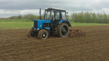 Сельхозпрофессии в списке для прохождения альтернативной службы